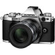 Цифровая системная фотокамера OLYMPUS E-M5 Mark II 12-50 Kit Silver/Silver
